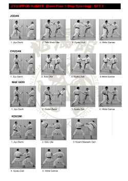 JIYU IPPON KUMITE (Semi Free 1 Step Sparring) : SET 1