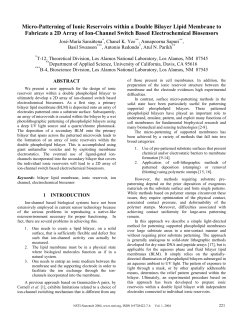 Micro-Patterning of Ionic Reservoirs within a Double Bilayer Lipid
