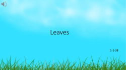 Leaves