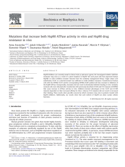 Mutations that increase both Hsp90 ATPase activity in vitro and