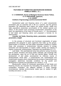 Fig. 3. Dependence leaf mass between the theoretical and actual