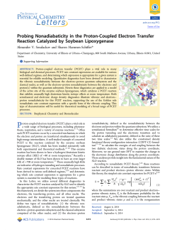 Probing Nonadiabaticity in the Proton