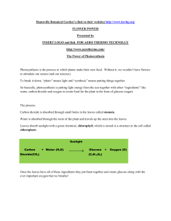 The-Power-of-Photosynthesis-QR-code-information