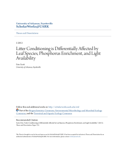 Litter Conditioning is Differentially Affected by Leaf Species