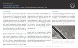 Understanding the Mechanism of Carbon Nanotube