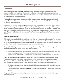 7.13 &ndash; Photosynthesis