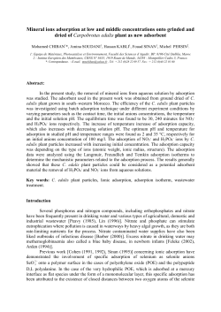 H2PO and HPO ion adsorption onto micro