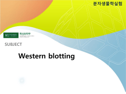 분자생물학실험