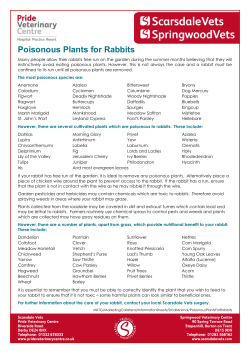 Poisonous Plants for Rabbits