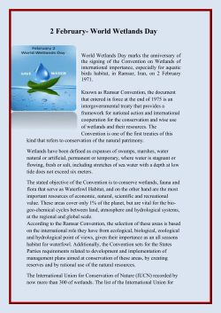 Every year on 9 August International Day of