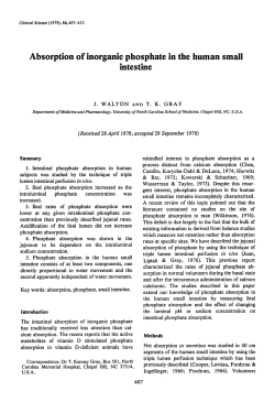 Absorption of Inorganic Phosphate in the Human
