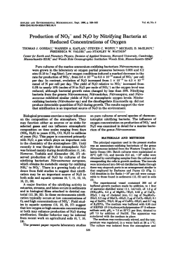 Production of N02- and N20 by Nitrifying Bacteria at Reduced