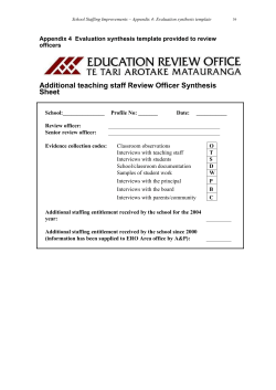 Appendix 4 Evaluation synthesis template provided