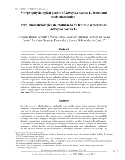 Morphophysiological profile of Jatropha curcas L. fruits and seeds