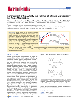 Enhancement of CO2 Affinity in a Polymer of Intrinsic Microporosity
