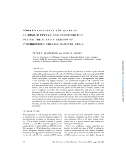 INDUCED CHANGES IN THE RATES OF URIDINE