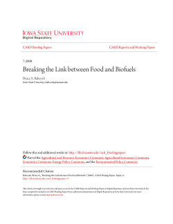 Breaking the Link between Food and Biofuels