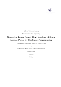 Numerical Lower Bound Limit Analysis of Static Loaded Plates by