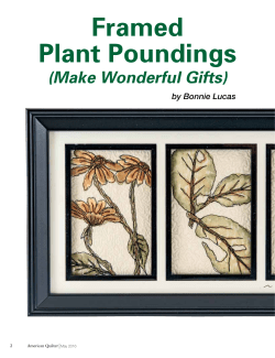 Framed Plant Poundings - American Quilter`s Society