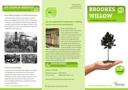 brookes willow - Brookes Cricket Bat Willow
