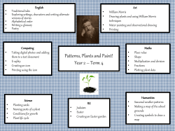 Patterns, Plants and Paint! Year 2 * Term 4