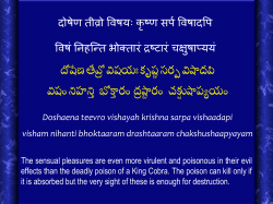 Familial Dyslipoproteinemias