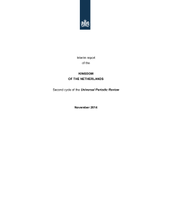Interim report of the KINGDOM OF THE NETHERLANDS Second