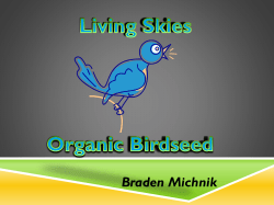 For the bird owner who wants their feathered companion to enjoy a