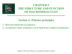 Macromolecules
