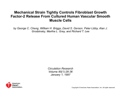 (FGF-2) by human vascular smooth muscle cells.