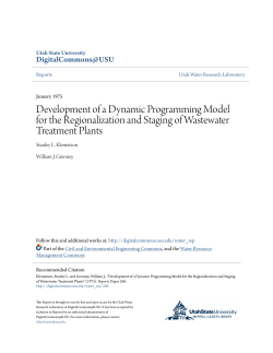 Development of a Dynamic Programming Model for the