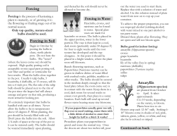 The following list provides suggestions for evergreen plants suitable