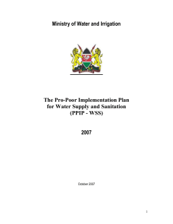 Pro-Poor Implementation Plan for Water Supply