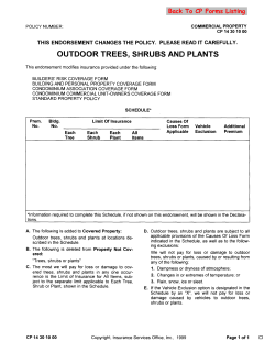 outdoor trees, shrubs and plants