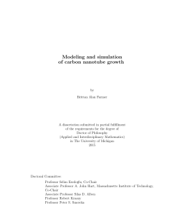 Modeling and simulation of carbon nanotube growth