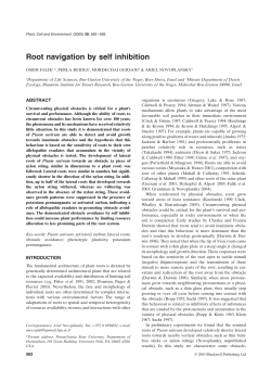 Root navigation by self inhibition