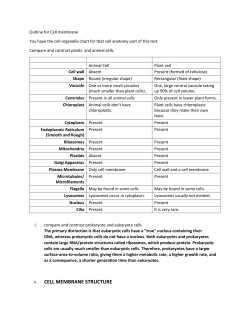 cell membrane functions