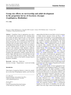 Group size effects on survivorship and adult development in the