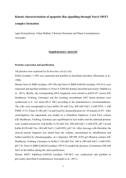 Kinetic characterization of apoptotic Ras signalling