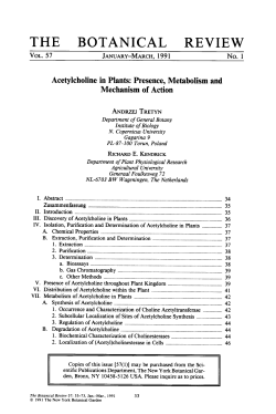 Acetylcholine in plants: presence, metabolism