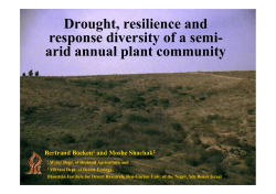 Drought, resilience and response diversity of a semi