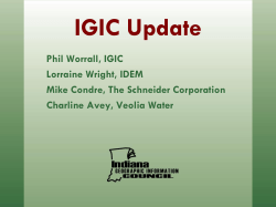 IGIC Committee/Workgroup Updates