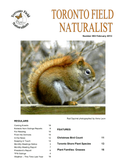 FEATURES Christmas Bird Count 11 Toronto Shore Plant Species