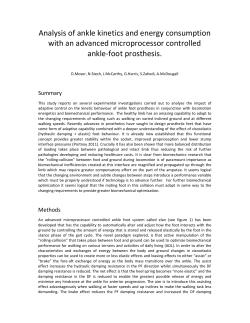 Analysis of ankle kinetics and energy consumption with an