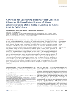 A Method for Sporulating Budding Yeast Cells That Allows for