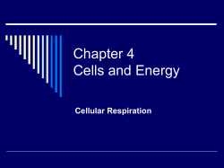 Chapter 9