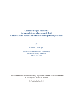 Full version - McGill University