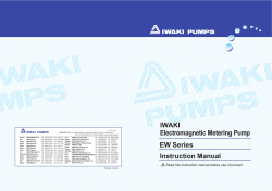 IWAKI Electromagnetic Metering Pump EW Series Instruction Manual