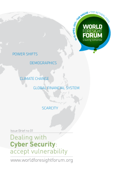 Dealing with Cyber Security: accept vulnerability