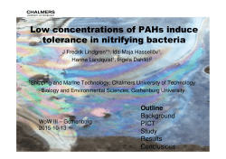 Low concentrations of PAHs induce tolerance in nitrifying bacteria